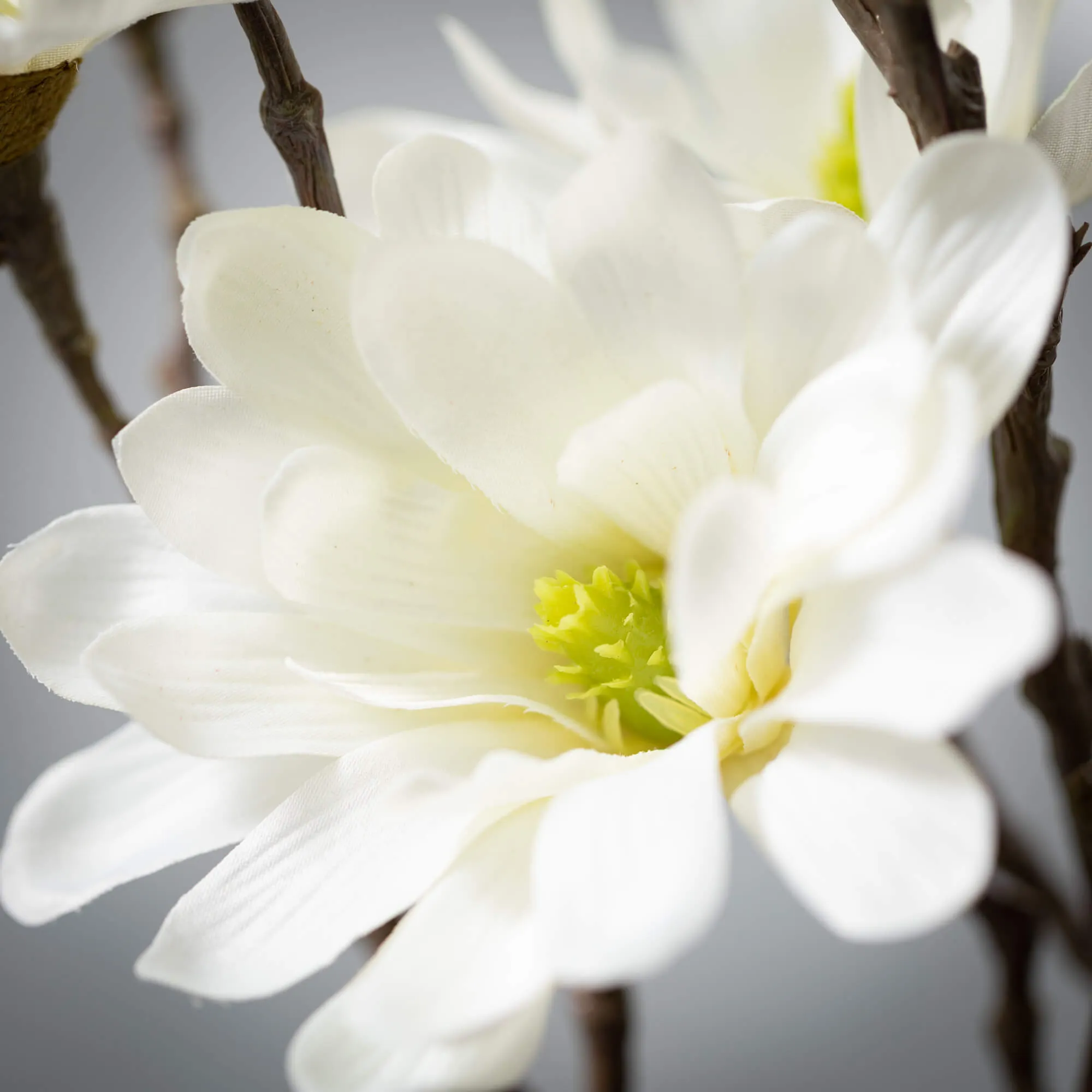 33.5"H Sullivans Cream White Magnolia Spray, White