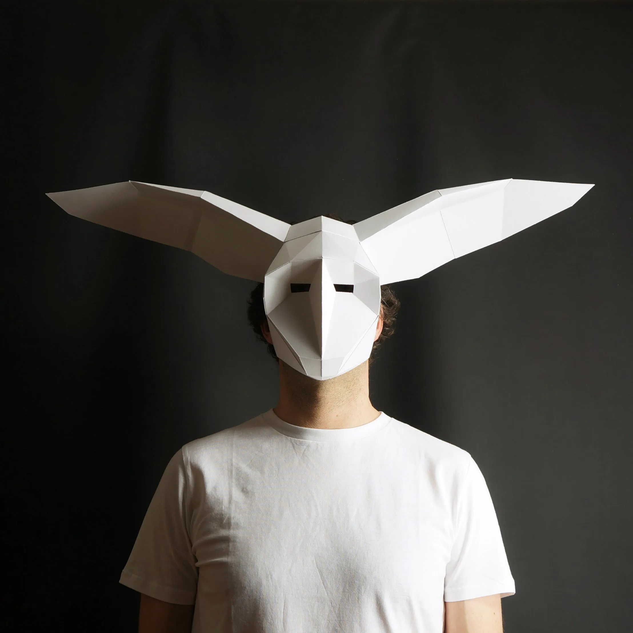 Omen – The Night Glider (Owl)