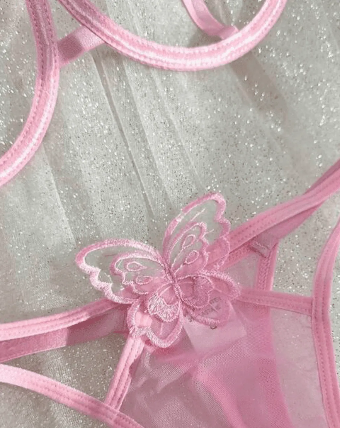 Pink Butterfly Embroidered Lingerie Set