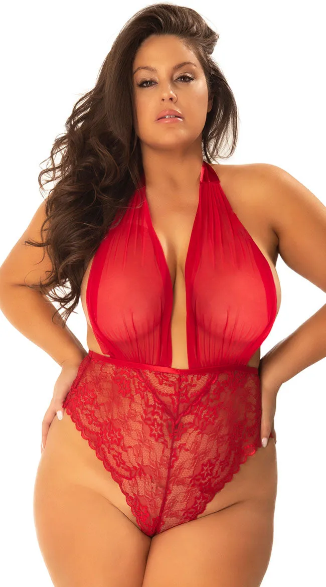 Plus Size Aria Plunging Teddy