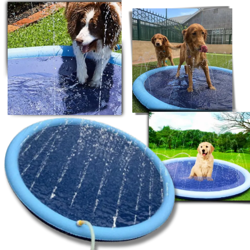 Portable Dog Splash Pad