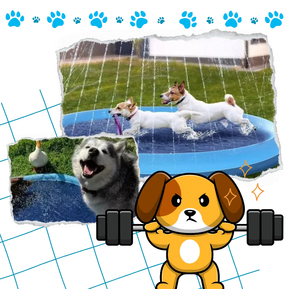 Portable Dog Splash Pad