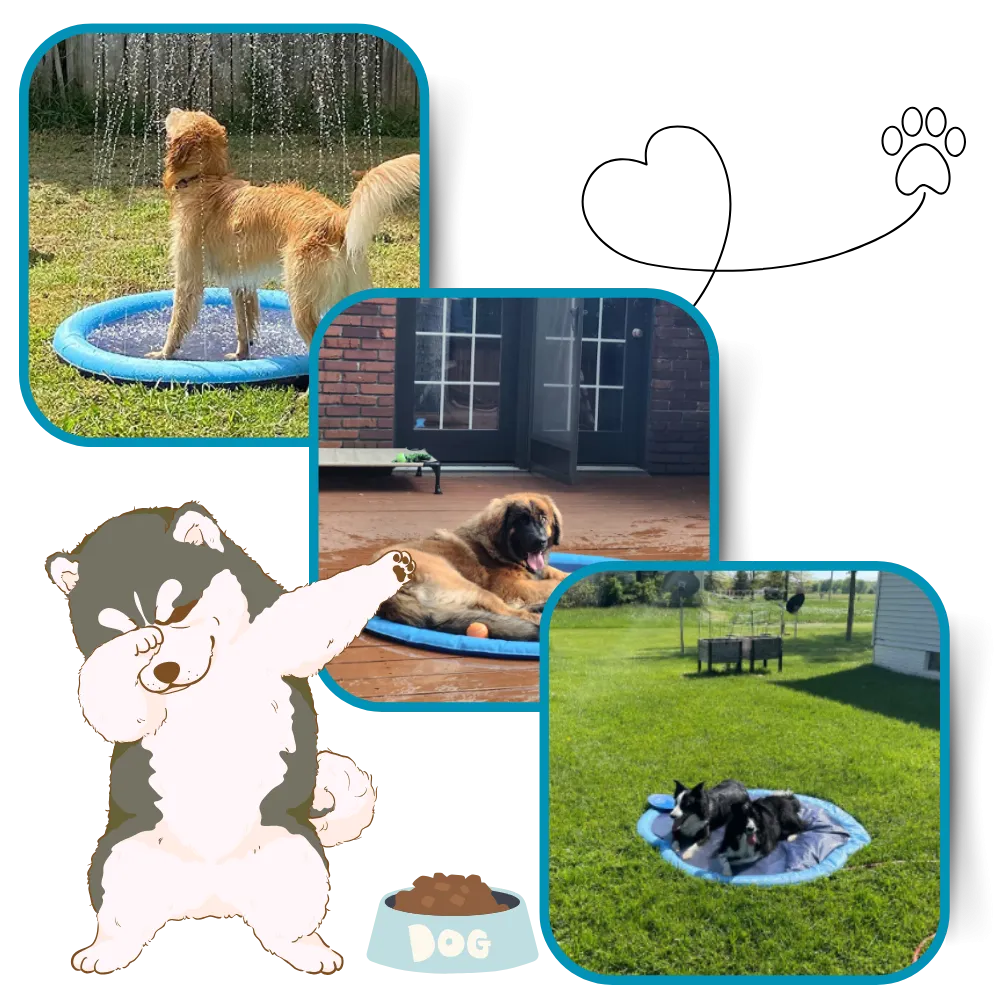 Portable Dog Splash Pad