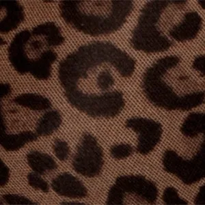 Sheer Lace & Mesh Bodysuit | Classic Leopard