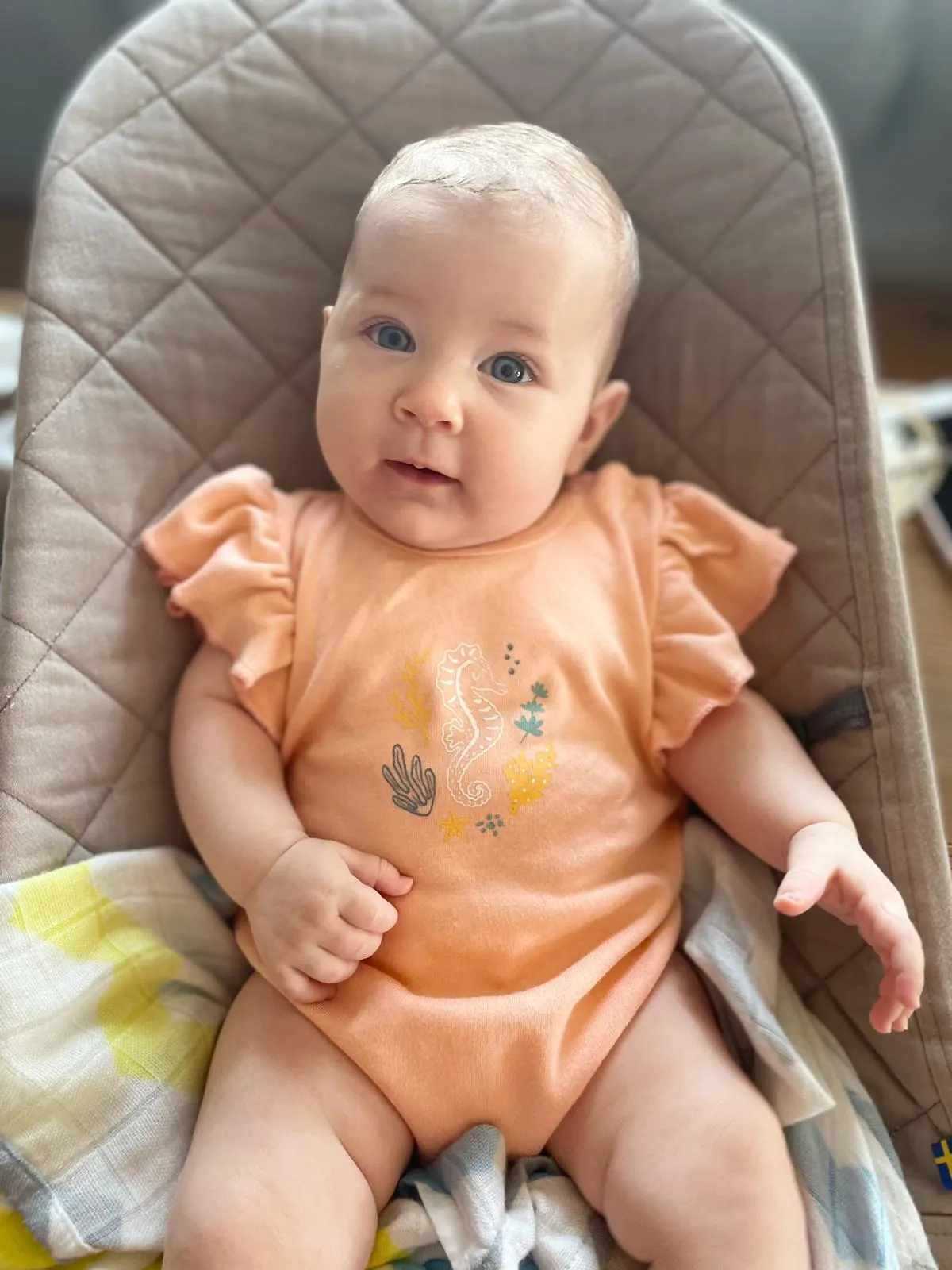 Short Sleeve Bodysuits - Triple Pack