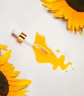Sunflower Oil - Carrier Oil