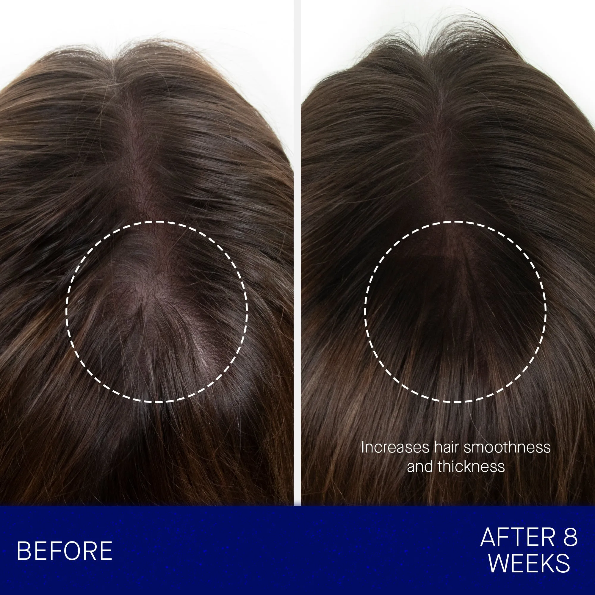 The Hair Oil 30ml