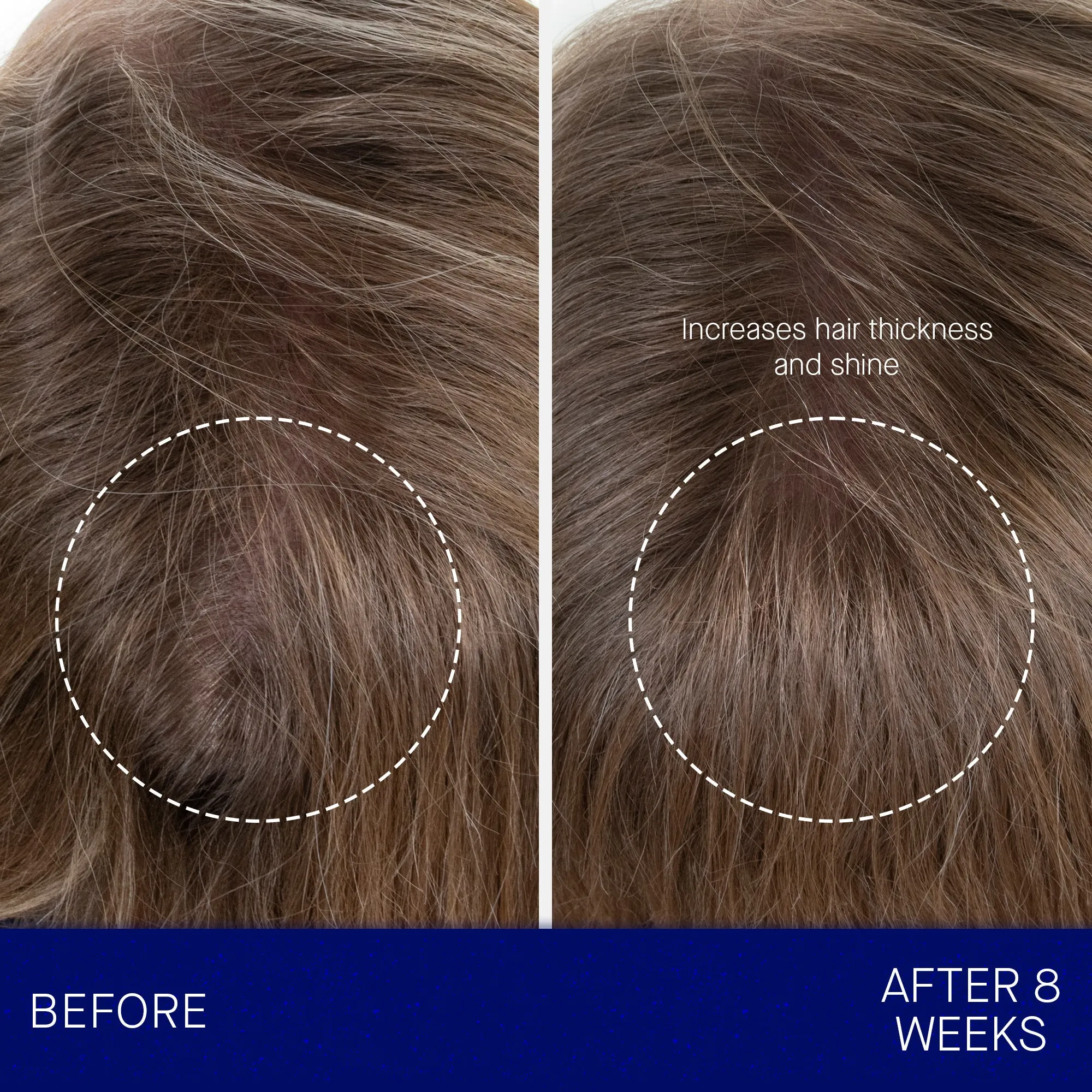 The Hair Oil 30ml